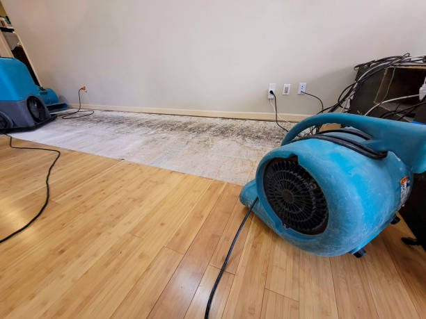 Professional Water Extraction technician working in Manasquan, NJ